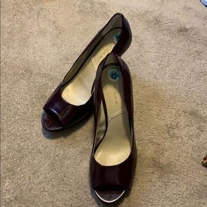Tahari shoes